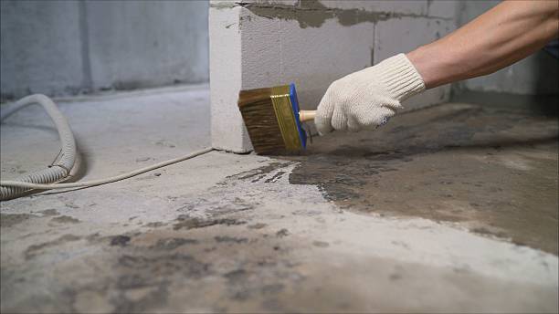 24/7 Emergency Wet Basement Repair experts in Hubbardston, MI